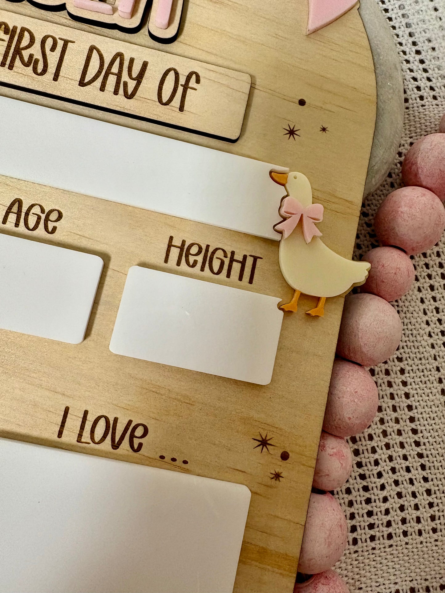 Bow & Goose First / Last Day of School Board