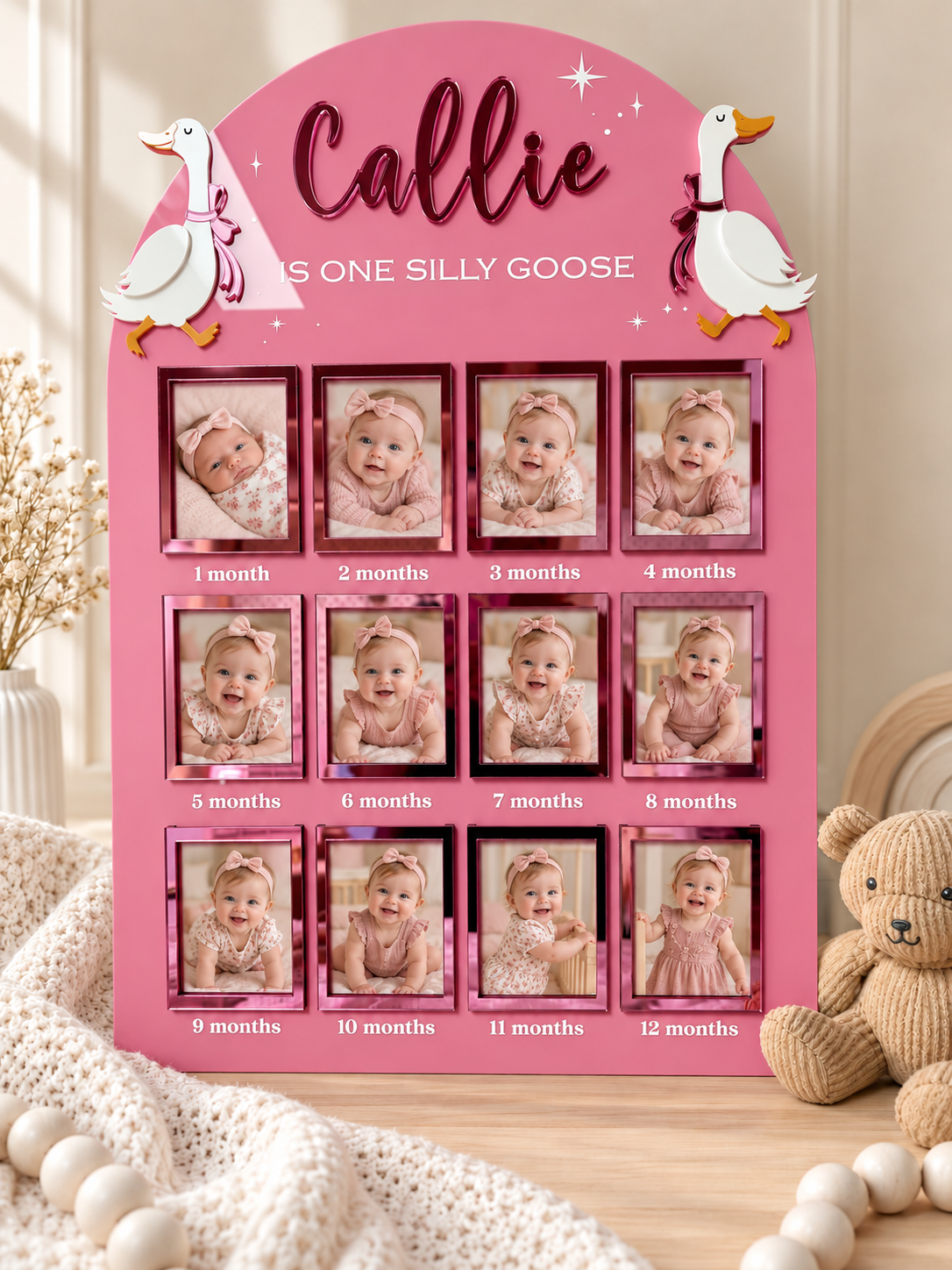 First Birthday Photo Board | Silly Goose Theme Birthday Board