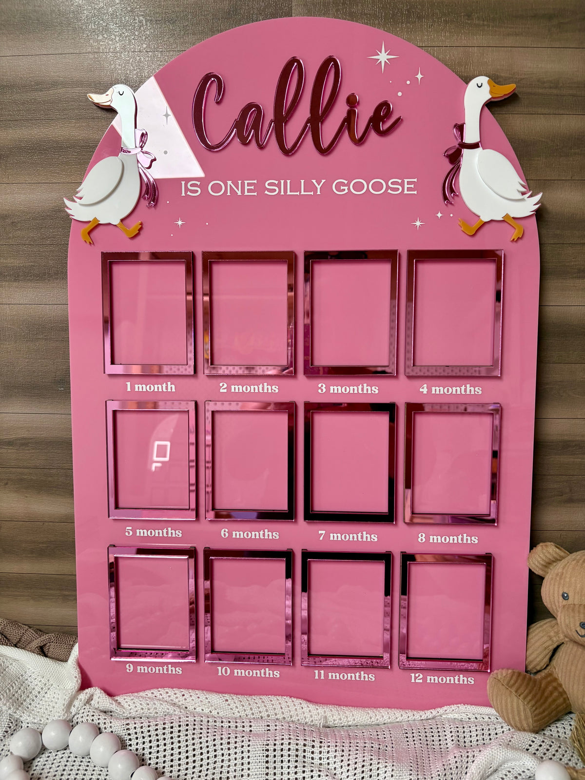 First Birthday Photo Board | Silly Goose Theme Birthday Board