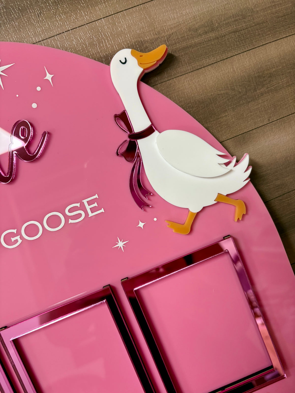 First Birthday Photo Board | Silly Goose Theme Birthday Board