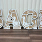SILLY GOOSE LAYERED LETTERS